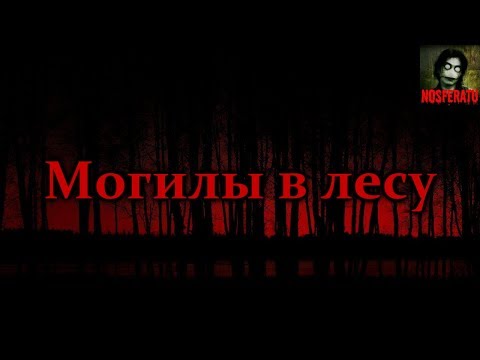 видео: МОГИЛЫ В ЛЕСУ. Страшные истории на ночь. Страшилки на ночь