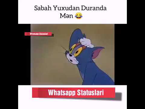 Whatsapp Üçün maraqli Statuslar | Whatsapp video status