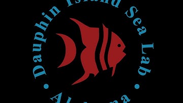 Dr. Alison Deary - Ecomorphological Patterns in Early Life History Stage Fishes