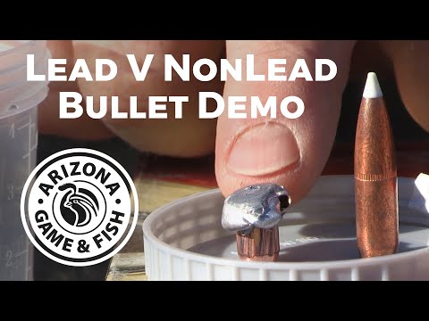 Lead v Non Lead Bullet Demo