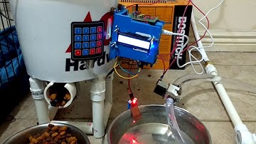 Automatic Dog Feeder