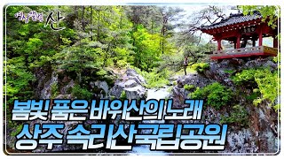 Songnisan National Park in Sangju, home to lush forests, stunning rocky ridges, refreshing valley...
