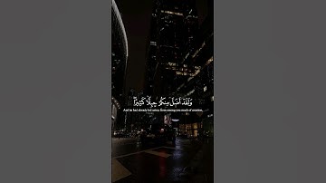 Surah Yaseen 60-64 I سورة يس ٦٠-٦٤ #قرآن #القرآن_الكريم #تلاوة_خاشعة #quran #islamicvideo #الشريم