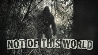 Bigfoot Is NOT What You Think!