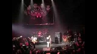 Bazooka Penaka - Wings