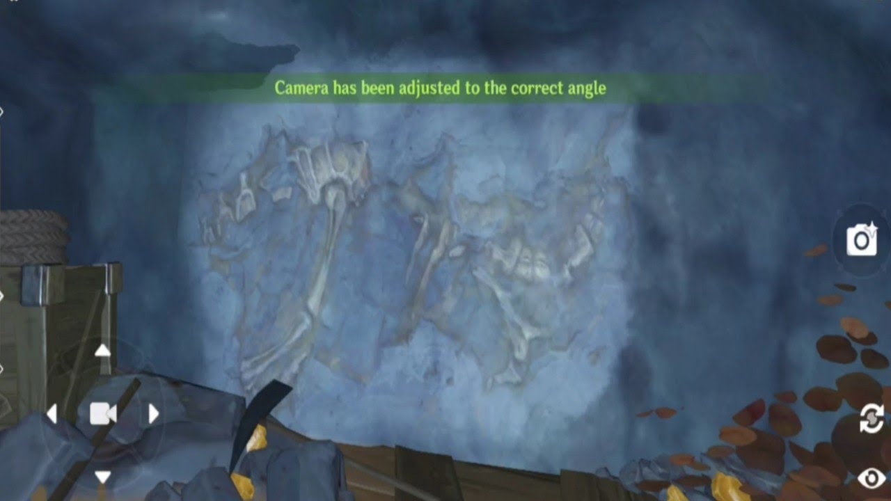 All 5 Fossil Pictures Locations In Genshin Impact YouTube