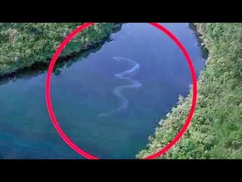 13-biggest-sea-monsters-ever-part-2!