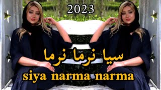 أجمل اغنية ايرانيه - سيا نرما نرما كامله siya narma narma