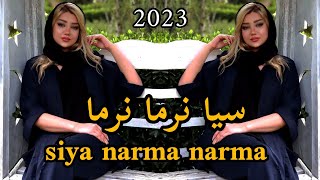 أجمل اغنية ايرانيه - سيا نرما نرما كامله siya narma narma