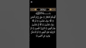 سورة التكاثر بصوت القارئ إسلام صبحي