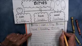 Kindergarten Journal Writing  - Birds