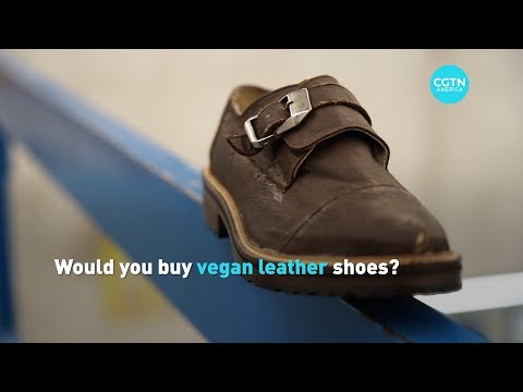 New green business in Mexico: Vegan leather