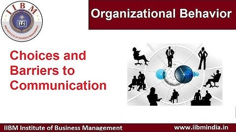 IIBM Institute | Organizational Behavior | Choices and Barriers to Communication