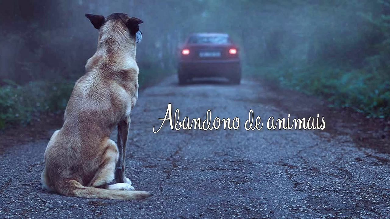 Introdução Ou Abandono De Animais Em Propriedade Alheia