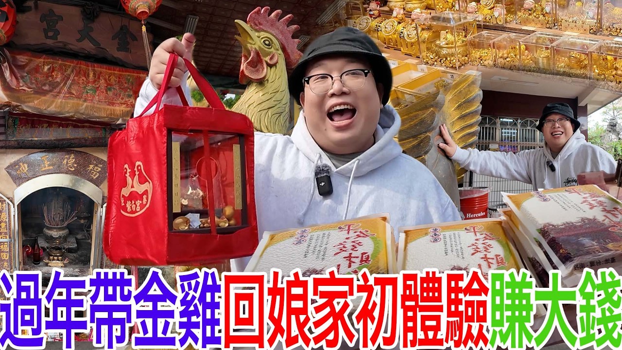 過年帶金雞回娘家初體驗賺大錢