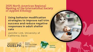 Using behaviour modification strategies to improve nail trim success in adult shelter cats