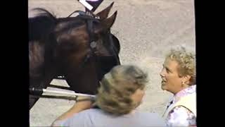 1997 Scioto Downs LIFE WORK Ryan Holton 2YO Pace $3,500
