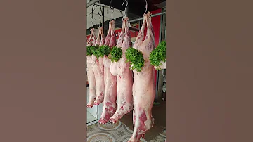 خروف بلدي 100 اكسبلور الوكره التغطيه متابعه لحم Meat 
