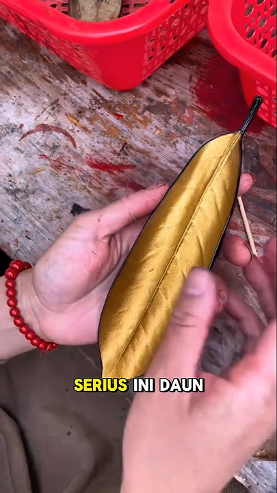 Orang Ini Menemukan Daun emas #short #vidioshort #unik