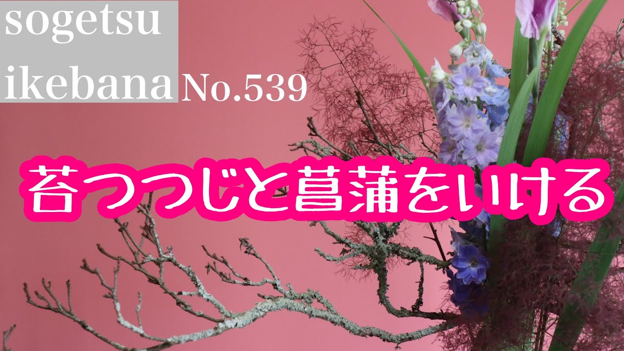 苔つつじと菖蒲をいける No.539 - YouTube
