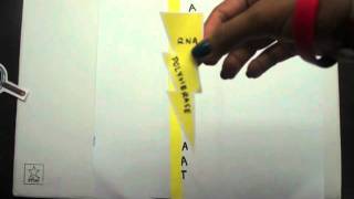 DNA Replication, Transcription, & Translation! (In Plain English style)