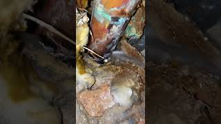 🚨 💦, Water main break Chicago! 24/7 Emergency #chicago #plumbing #leaks