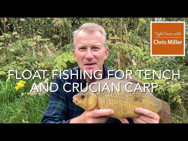 Float fishing for tench and crucian carp 