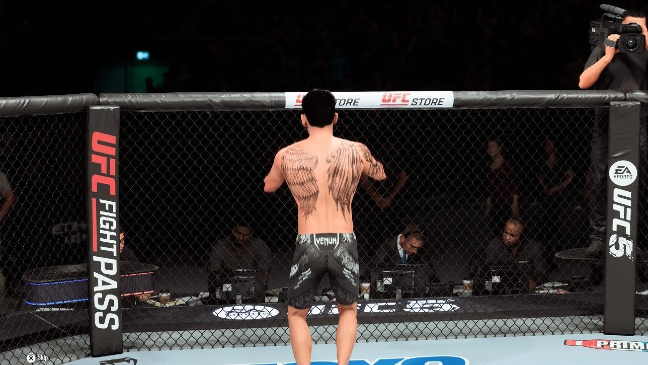UFC mad Max