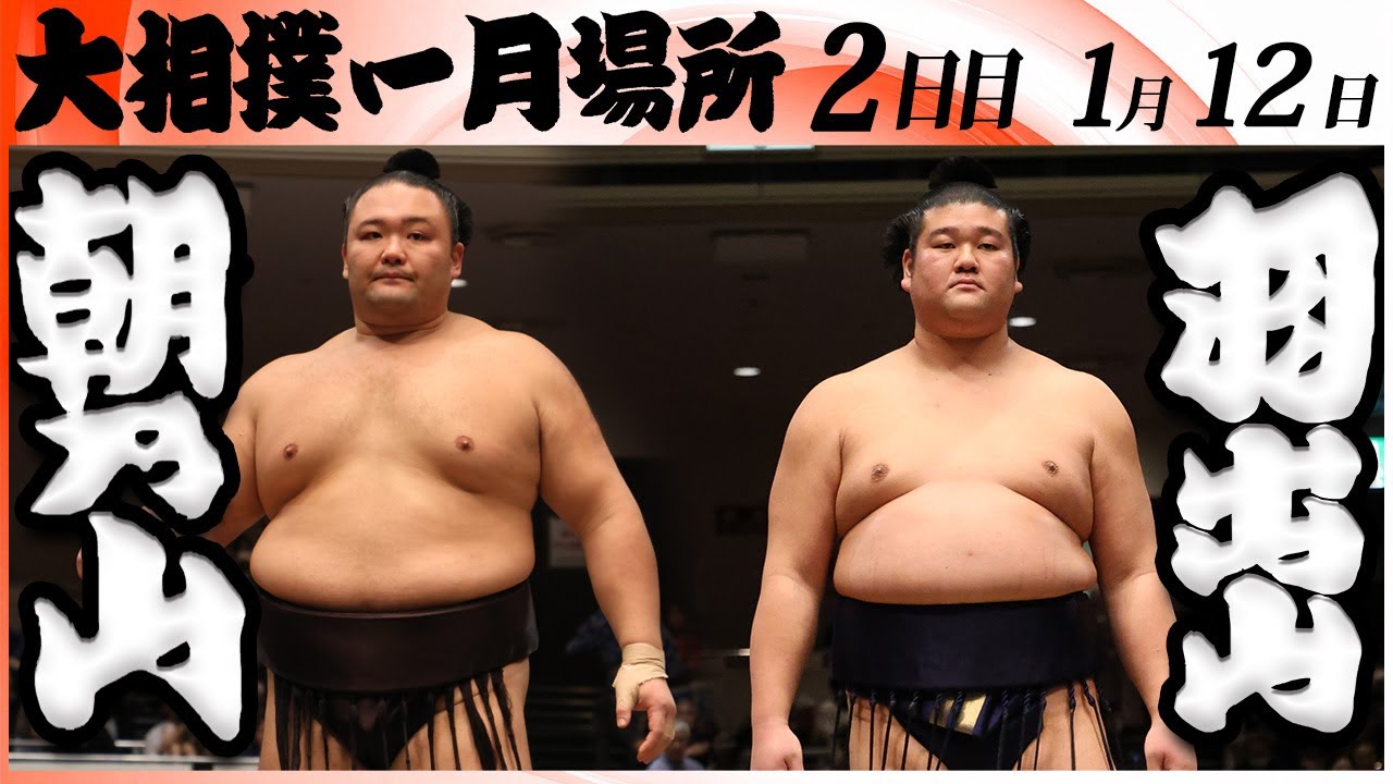 大相撲　朝乃山関　2024反物　浴衣生地　新品未使用　一反 大相撲 朝乃山関 2024反物 浴衣生地 一反 新品未使用 【公式通販】