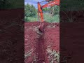 Cách múc rảnh thoát nước farm sầu Riêng