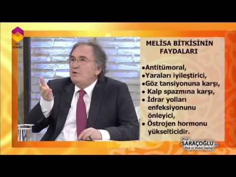 Video: Melissa ve nane: farklılıklar ve kullanışlı özellikler