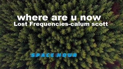 Lost Frequencies ft Calum Scott - Where Are You Now [1HOUR]