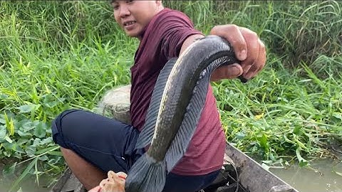 Cách Mà Người Miền Tây Mưu Sinh Trong Những Ngày Chỉ Thị 16 P1 | Cù Lao Dung Vlogs #196