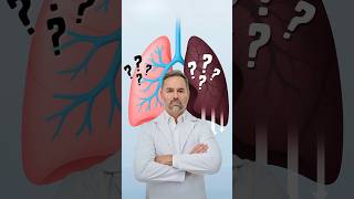 COPD Truth ❌ No Supplement Can Cure It, But This Can Help 🫁