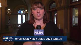 What's On New York's 2023 Ballot