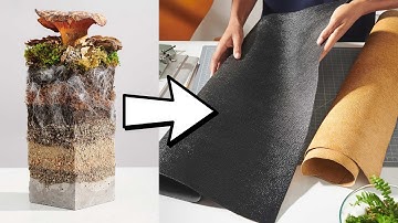 Eco-Friendly Inventions Saving the Planet