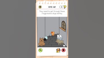 Brain test All-Star -level 487