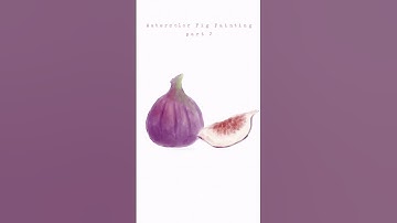 Watercolor fig painting- botanical illustrations on procreate