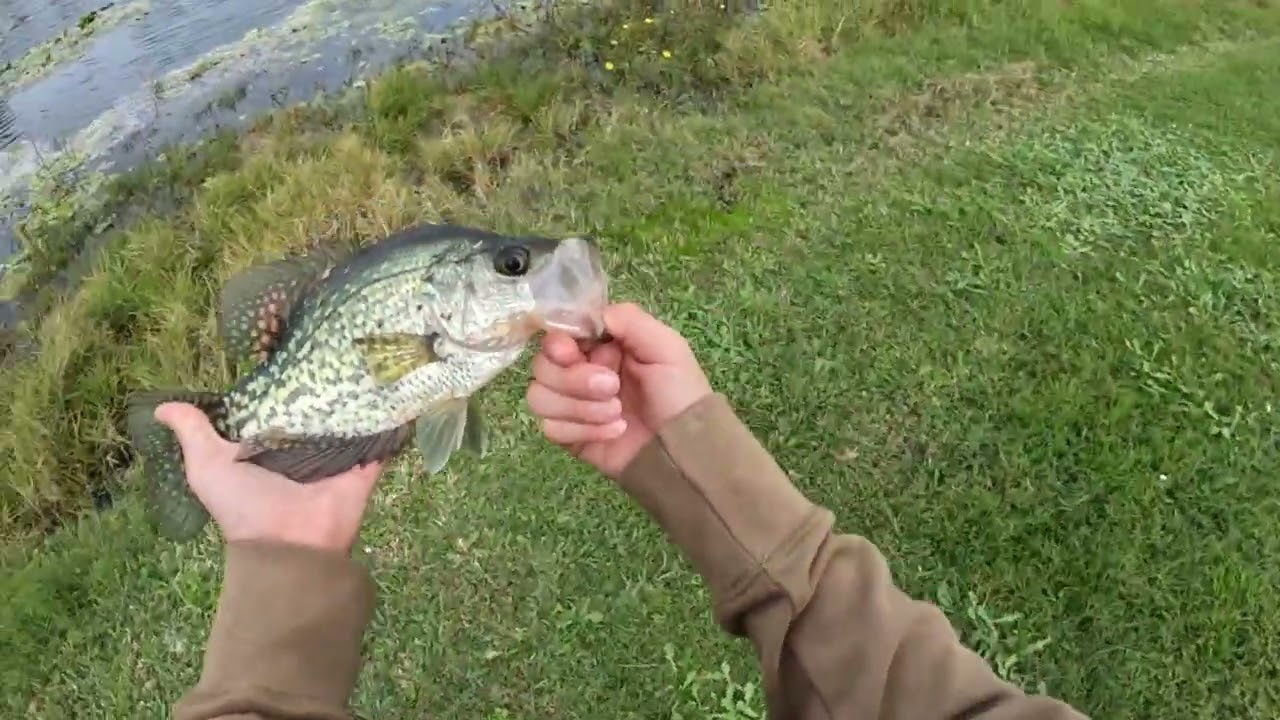 I caught THIS bass fishing!!!