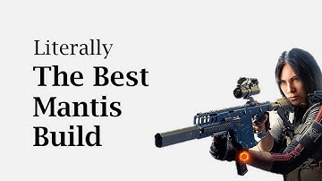 Literally the best Mantis build - Part 5 - Division 2