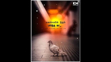 Thumbnail of Vellai pura ondru song // rajini // kj yesudas // janaki // ilaiyaraaja // melody hits // love songs