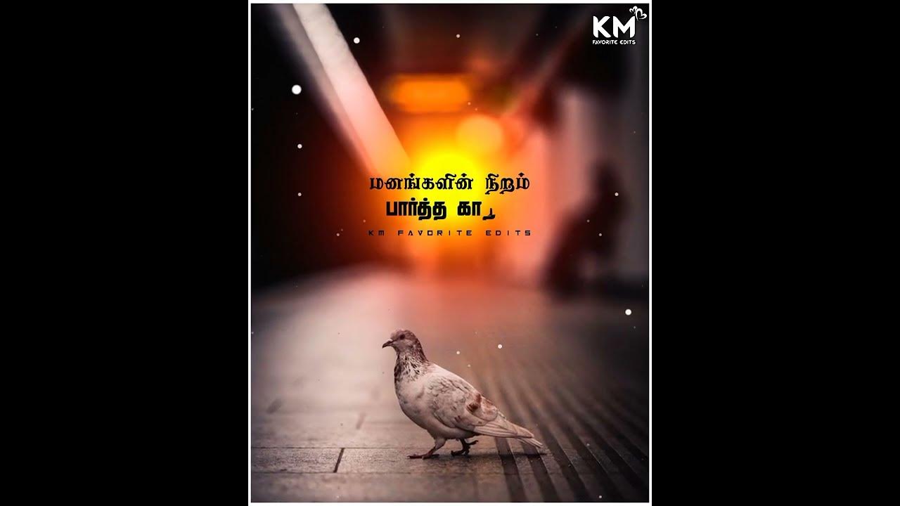 Vellai pura ondru song // rajini // kj yesudas // janaki // ilaiyaraaja // melody hits // love songs