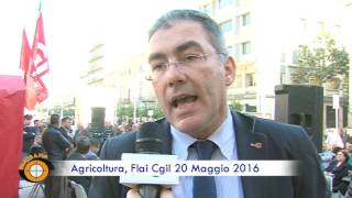 TELE ONE: Panorama Oggi - Agricoltura, Flai Cgil 20 Maggio 2016