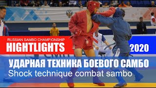 ЖЕСТКАЯ УДАРНАЯ ТЕХНИКА В БОЕВОМ САМБО / tough shock technique combat sambo