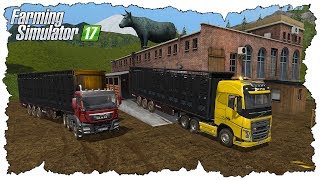 ФЕРМЕР РЕШИЛ ЗАРАБОТАТЬ ДЕНЕГ НА СВИНЬЯХ В FARMING SIMULATOR 17