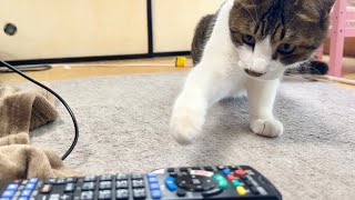 テンの大冒険！リモコンが動いたぞ！やっつけろ！