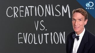 Celebrity Should Bill Nye Debate a Creationist? Wealth