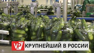 В ВОЛГОГРАДСКОЙ ОБЛАСТИ ОТКРЫЛСЯ КРУПНЕЙШИЙ В РОССИИ КОНСЕРВНЫЙ ЗАВОД