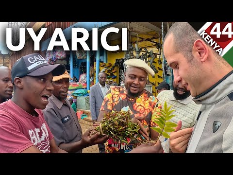 Video: Tanzaniyada Meru dağına qalxmaq üçün ən yaxşı məsləhətlər