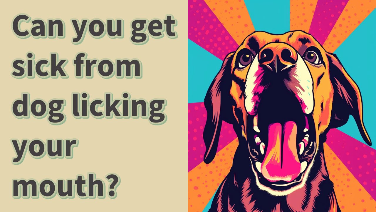 Can You Get Sick From Dog Licking Your Mouth YouTube can-you-get-sick-from-dog-licking-your-mouth-youtube